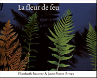 La fleur de feu